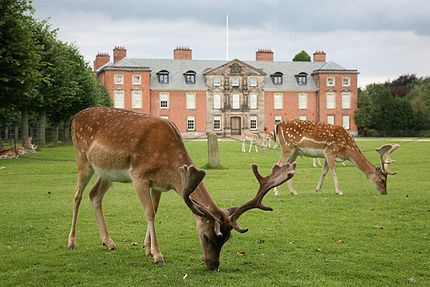Inside Dunham Massey